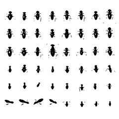 bug svg, beetle svg, svg bundle, insects svg, svg bugs, bug clipart, svg	bugs bundle svg, line art svg, Bugs Silhouette, insects clipart, outline bugs, Insect, insect, ant, bug, beetle, spider, vector