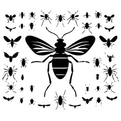 bug svg, beetle svg, svg bundle, insects svg, svg bugs, bug clipart, svg	bugs bundle svg, line art svg, Bugs Silhouette, insects clipart, outline bugs, Insect, insect, ant, bug, beetle, spider, vector