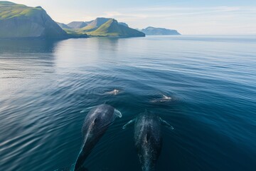 Fototapeta premium Family of whales in the ocean top view generated AI