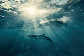 Foto op Plexiglas Family of whales in the ocean top view generated AI © Tatiana