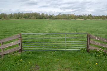 Fototapeta na wymiar Front View Gate At A Farmland At Abcoude The Netherlands 8-4-2024