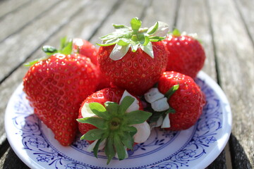 Fresh strawberries on a blue plate