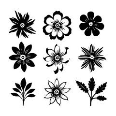 flower, flower silhouette, flower outline, herb svg, herb png,floral, pattern, vector, set, nature, flowers, design, illustration, art, seamless, spring, summer, decoration, plant, ornament, collectio