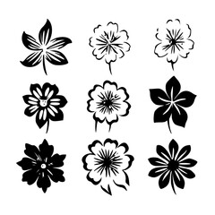 Obraz premium flower, flower silhouette, flower outline, herb svg, herb png,floral, pattern, vector, set, nature, flowers, design, illustration, art, seamless, spring, summer, decoration, plant, ornament, collectio