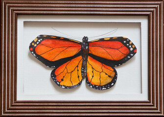 Orange butterfly in a wooden frame