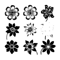 flower, flower silhouette, flower outline, herb svg, herb png,floral, pattern, vector, set, nature, flowers, design, illustration, art, seamless, spring, summer, decoration, plant, ornament, collectio