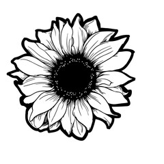 Sunflower line illustration for your design.  - obrazy, fototapety, plakaty