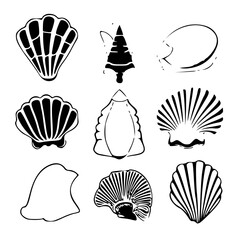 Seashells svg, Seashell svg file, Ocean svg, Marine, Clipart, Seashell SVG, SeaShell Outline SVG, Beach SVG, Summer, Seashells Svg, Flower seashell Svg, Underwater the sea Svg, Ocean Svg, SeaShell cli