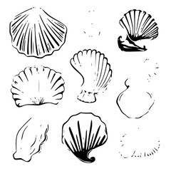 Seashells svg, Seashell svg file, Ocean svg, Marine, Clipart, Seashell SVG, SeaShell Outline SVG, Beach SVG, Summer, Seashells Svg, Flower seashell Svg, Underwater the sea Svg, Ocean Svg, SeaShell cli