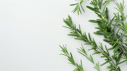 Fototapeta na wymiar Portion of fresh Rosemary, background, top view, copy space