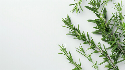 Obraz premium Portion of fresh Rosemary, background, top view, copy space