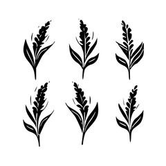 Wheat SVG designs, Wheat logo, Wheat vector, Wheat Field png, Wheat bundle, Wheat Clipart, Grain Svg, WHEAT SVG Bundle, Grain Svg, Wheat Clipart, Wheat Cut Files For Cricut, Wheat Vector, Wheat Silhou