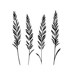 Wheat SVG designs, Wheat logo, Wheat vector, Wheat Field png, Wheat bundle, Wheat Clipart, Grain Svg, WHEAT SVG Bundle, Grain Svg, Wheat Clipart, Wheat Cut Files For Cricut, Wheat Vector, Wheat Silhou