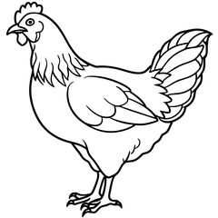 rooster and hen colouring page white background -Vector illustration
