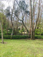 porto, city, gaia, cityescape, northe, portugal, europe, travel, destination, buildings, outdoor, viewpoint, sky