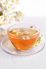 	
cup of herbal chamomile tea, on a cozy light background with fresh chamomile flowers	