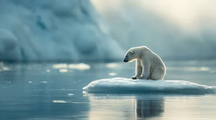 Foto op Canvas Lonely polar bear sitting alone on a small ice floe somewhere in the arctic waters. Sad conceptual picture depicting melting icebergs due to climate change,  global warming and endangered species. © SARATSTOCK