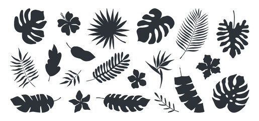 Set of hand drawn tropical leaves. Silhouettes of abstract branches in minimalist style. Vector illustration in black white colors. - obrazy, fototapety, plakaty