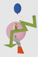 Vertical photo collage of money dollar bag symbol loss air balloon try save arrow down hand mistake...