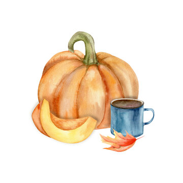 Autumn orange pumpkin with piece and blue tea cup illustration. Hand drawn cozy warm fall composition for harvest season, thanksgiving festival design