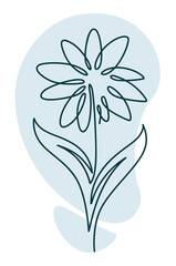 Flower in blossom with leaves and petals line art