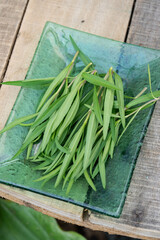 a plate of tarragon leaves that are widely use in culinary to create or add additional flavours on meat