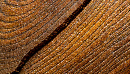 Wood Background: Artistic Macro of Wood's Textural Elegance. Wood Teak texture
