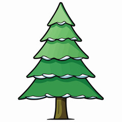 cedar tree isolated on white