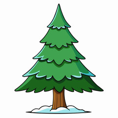 cedar tree isolated on white