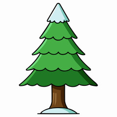 cedar tree isolated on white