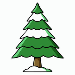 cedar tree isolated on white
