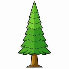 cedar tree isolated on white