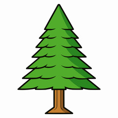 cedar tree isolated on white