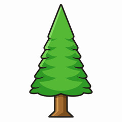 cedar tree isolated on white