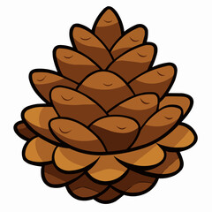 vector illustration of pine cones