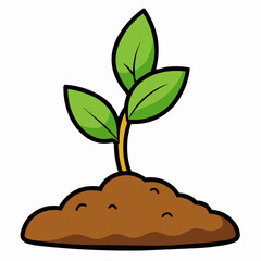 plant in the soil