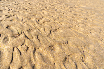 Sand Texture Background, Sandy Beach Pattern, Beige Ocean Dune Wallpaper, Wet Beach