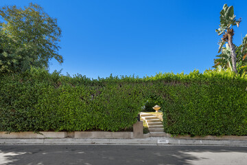 Pair of stairs descending towards a vibrant green hedge in Hidden Hills, CA