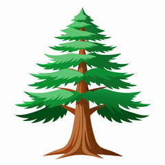 illustration of a pine
