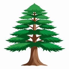 illustration of a pine