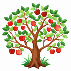 apple tree with apples