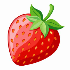 strawberry illustration
