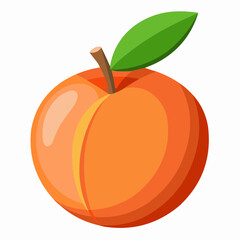 illustration of an peach fruit