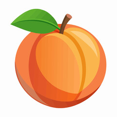 illustration of an peach fruit
