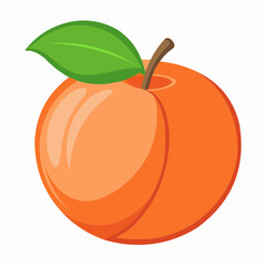 illustration of an peach fruit