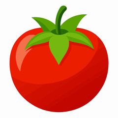 tomato illustration