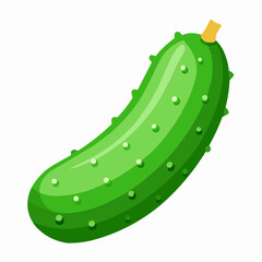 illustration of cucumber