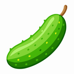 illustration of cucumber