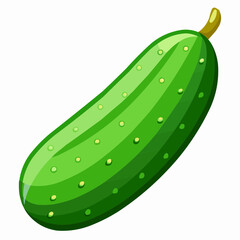 illustration of cucumber