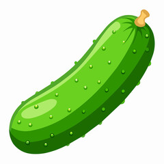 illustration of cucumber